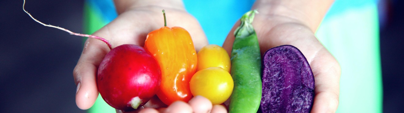 Come Scegliere i Prodotti Agricoli di Qualità: Guida Completa per il Consumatore